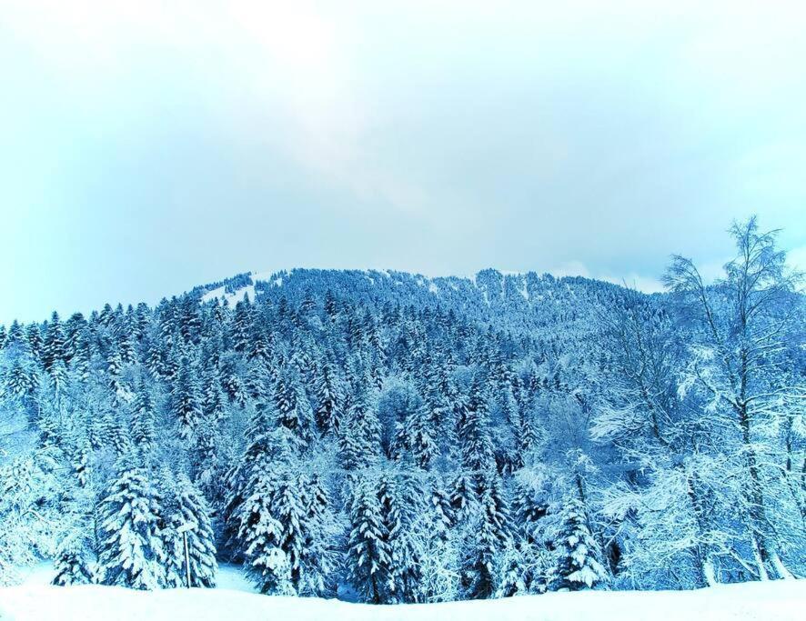 Logement 6 Pers Au Coeur Des Montagnes Pyreneennes Linge De Maison Et Papier Toilette Non Fournis Boutx Exterior photo
